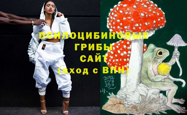 мет Вяземский