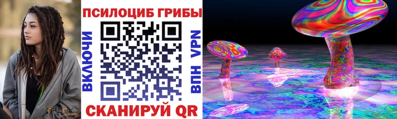 Галлюциногенные грибы Psilocybe наркотики Дагестанские Огни
