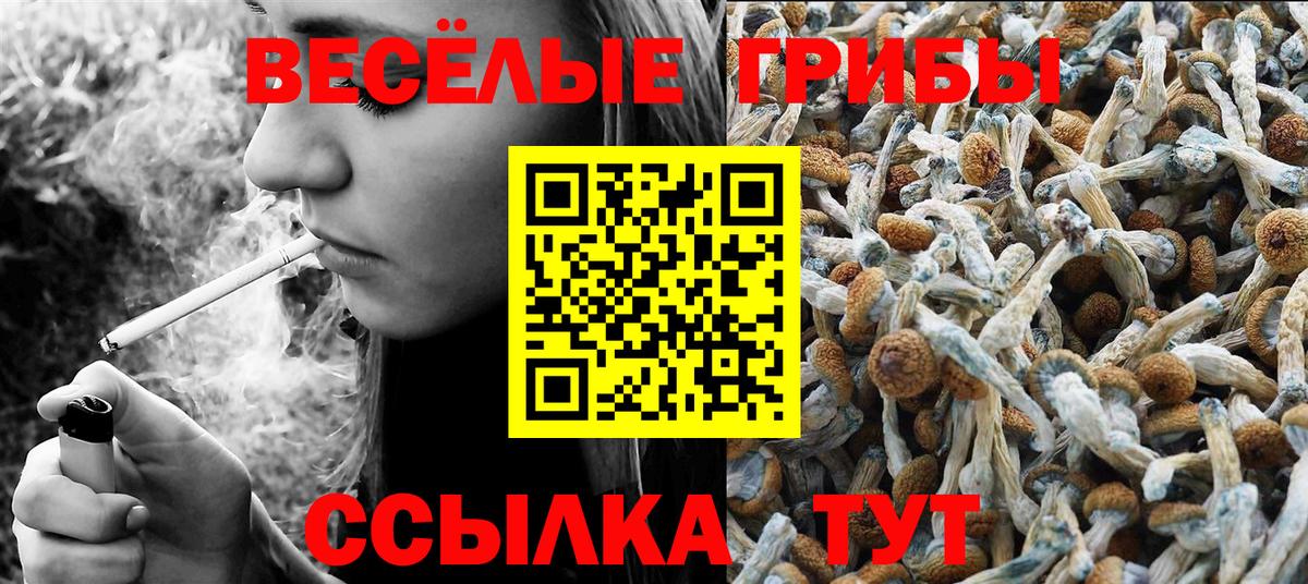 Псилоцибиновые грибы мухоморы  Вход с VPN  Дагестанские Огни 